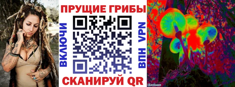 Псилоцибиновые грибы Magic Shrooms  цены   Приволжск 
