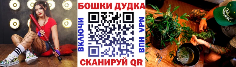 Шишки марихуана семена  Приволжск 
